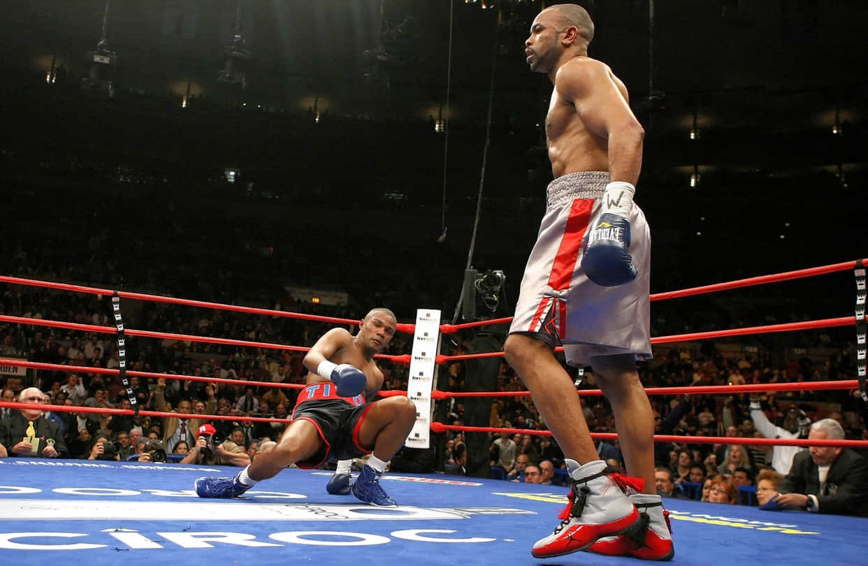 Felix Trinidad, ring, arena lights, SD Desktop Wallpaper