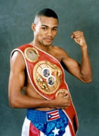 Felix Trinidad, championship belt, gray backdrop, SD Phone Wallpaper