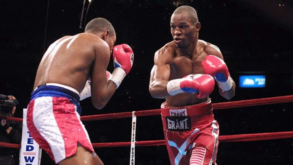 Felix Trinidad, boxing ring, red and white trunks, SD Desktop Wallpaper