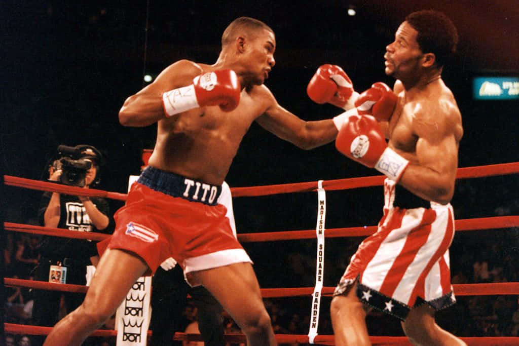 Felix Trinidad, red boxing gloves, red shorts, SD Desktop Wallpaper