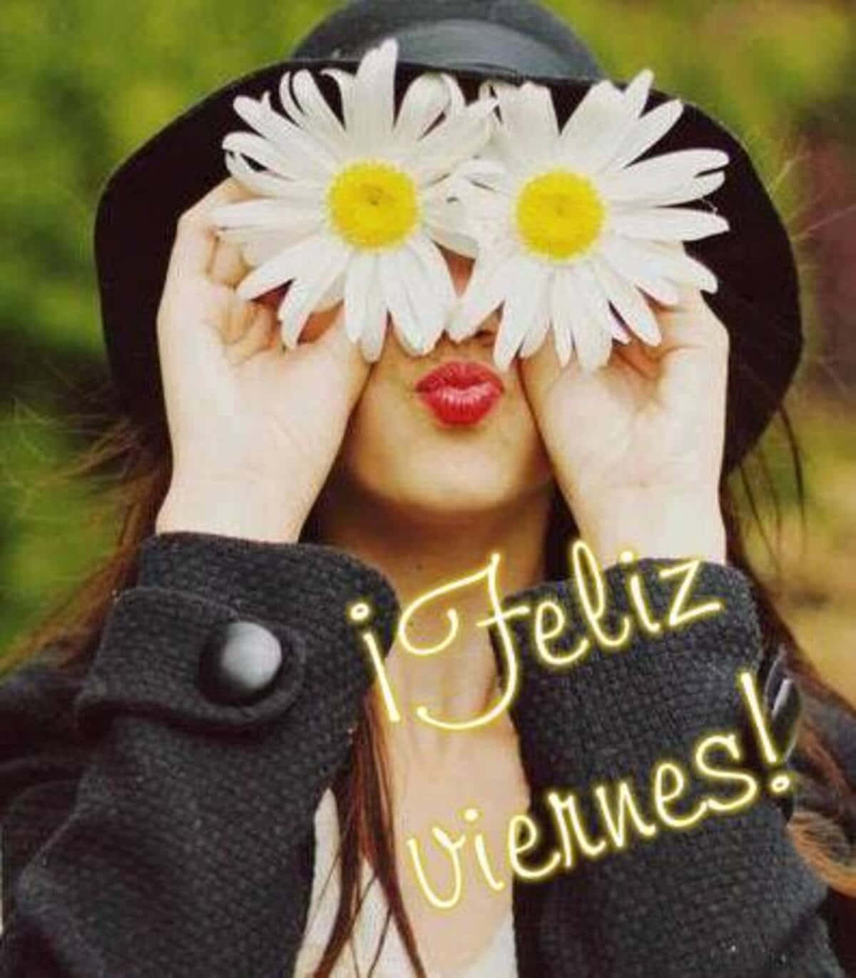 Feliz Viernes, black hat, daisies, HD Phone Wallpaper