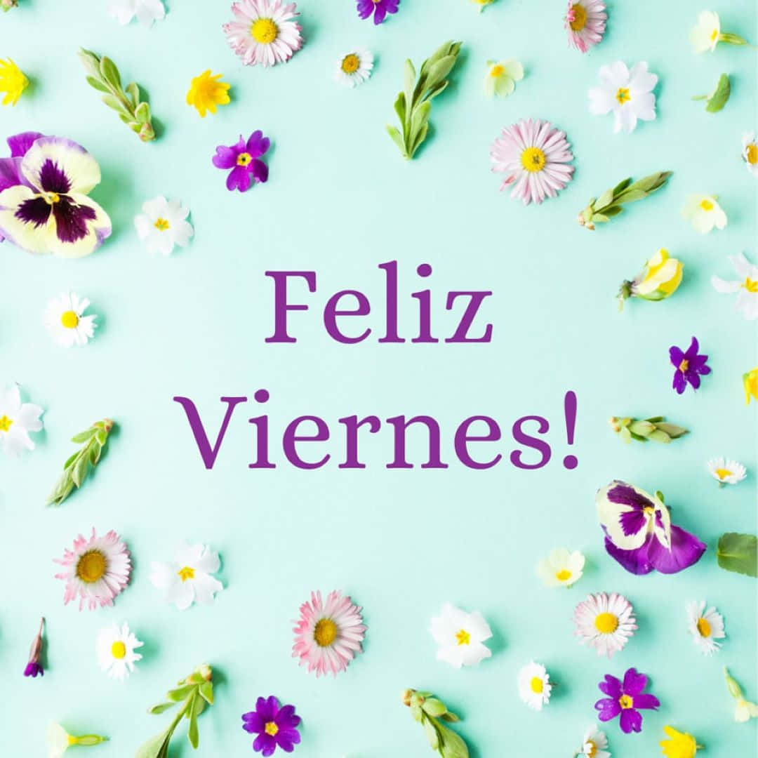 Feliz Viernes, daisies, pansies, SD Desktop Wallpaper