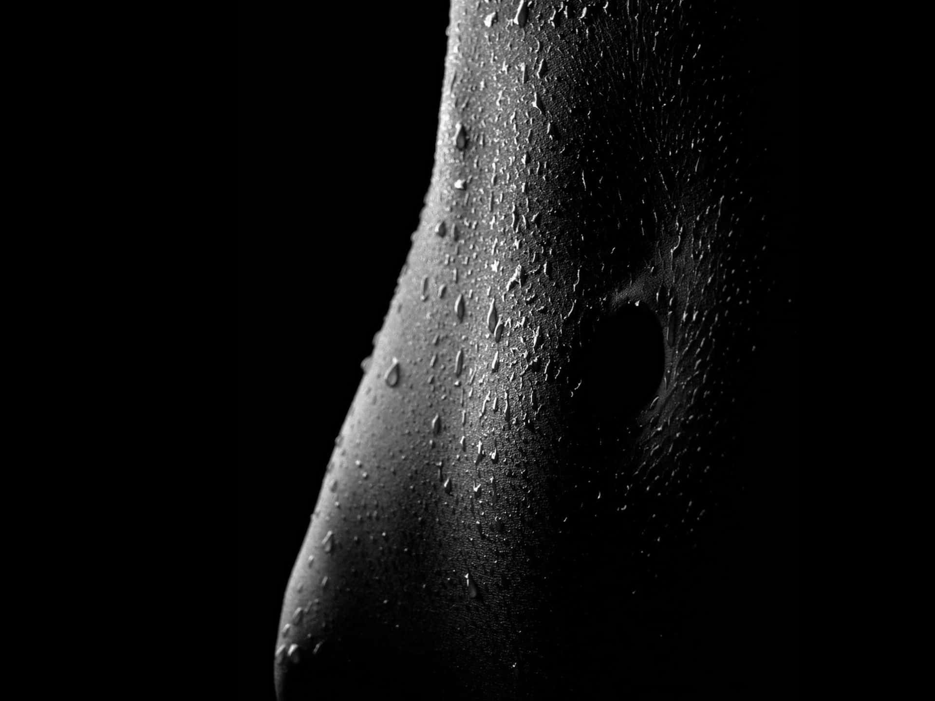 female body, water droplets, monochrome, Full HD Desktop Wallpaper