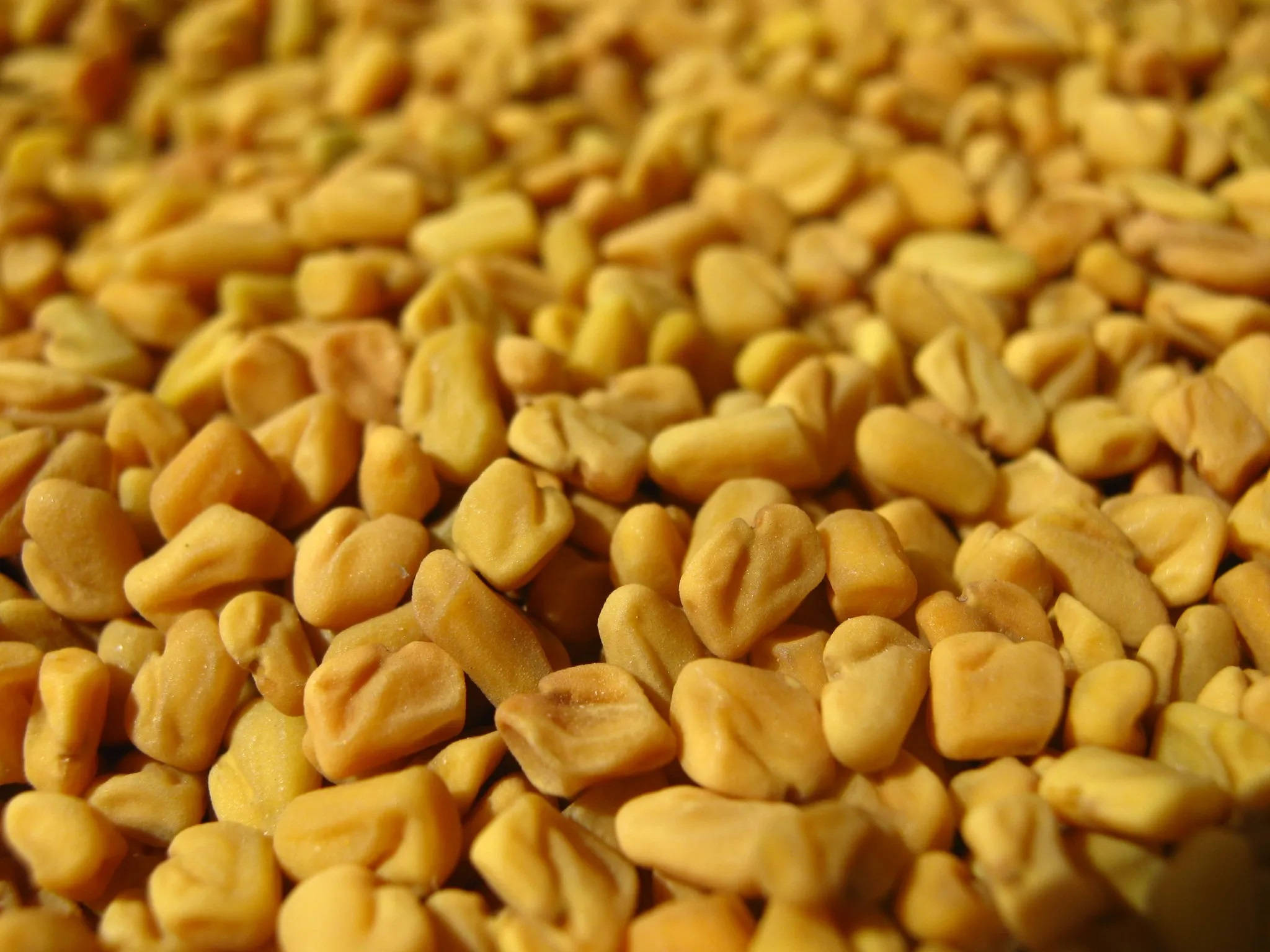 fenugreek seeds, golden-yellow, textured surfaces, Full HD Desktop Wallpaper