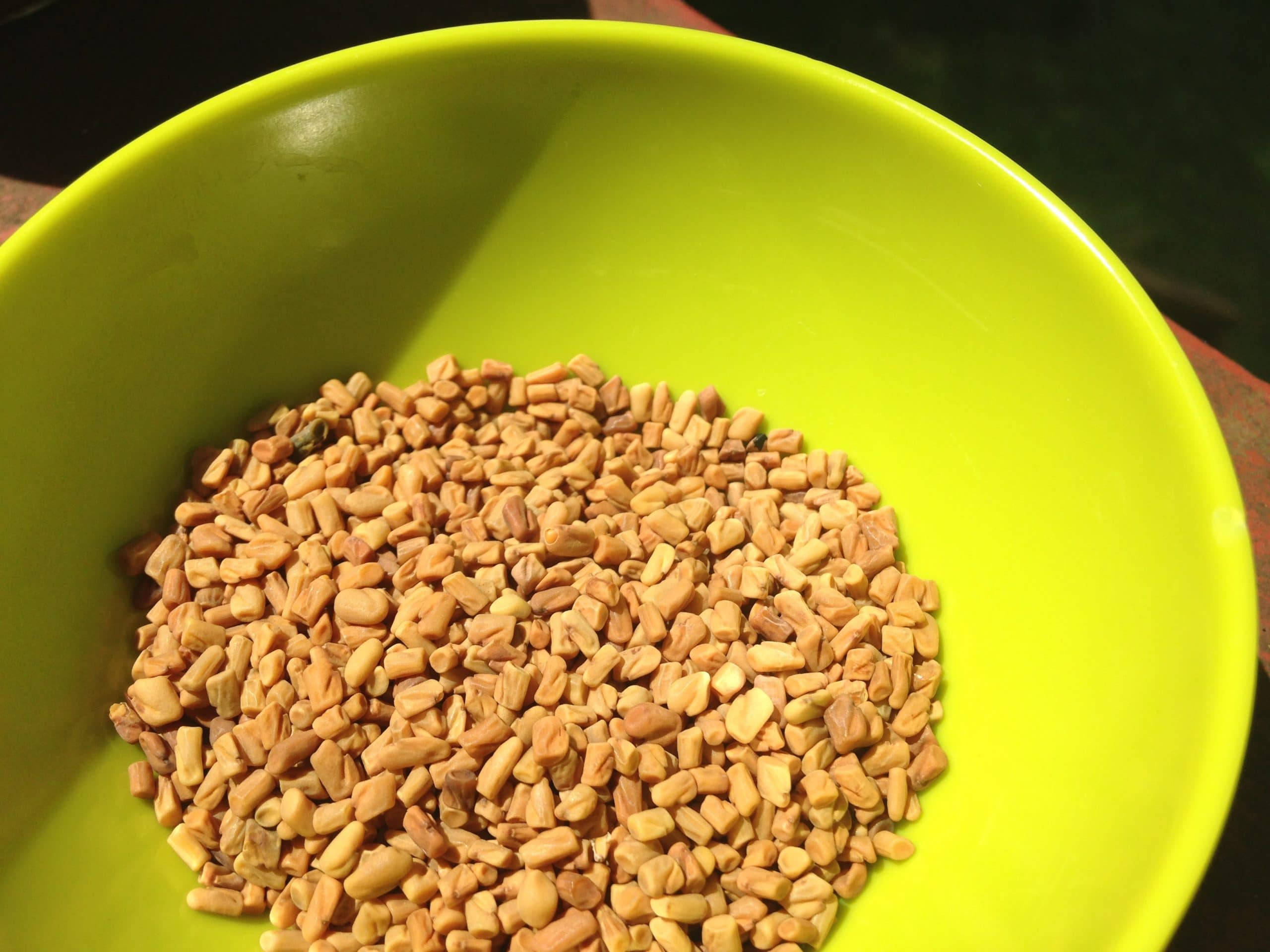 neon green bowl, fenugreek seeds, lime green, 2K Desktop Wallpaper
