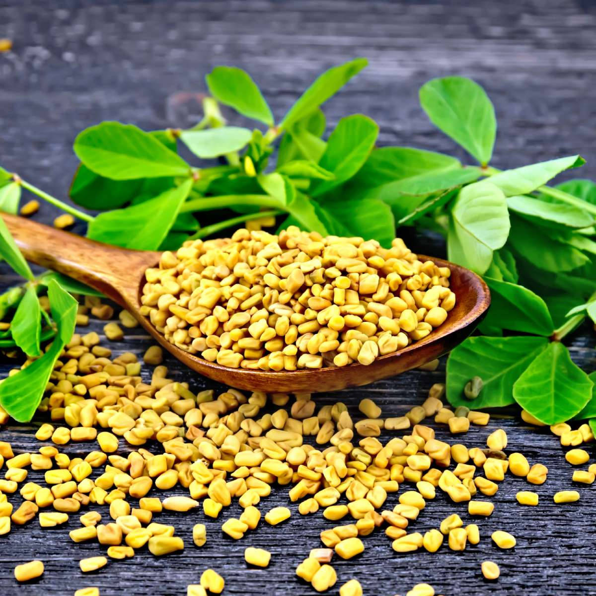 large wooden spoon, fenugreek seeds, dark rustic surface, SD Desktop Wallpaper