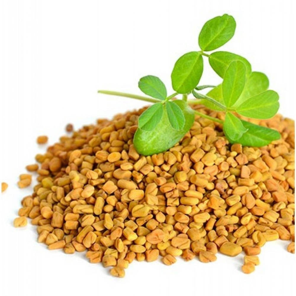 fenugreek, golden fenugreek seeds, fresh green sprouts, SD Desktop Wallpaper