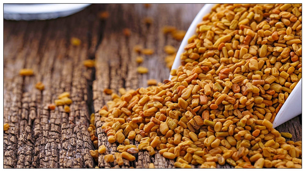aged fenugreek seeds, white scoop, weathered wooden surface, SD Desktop Wallpaper