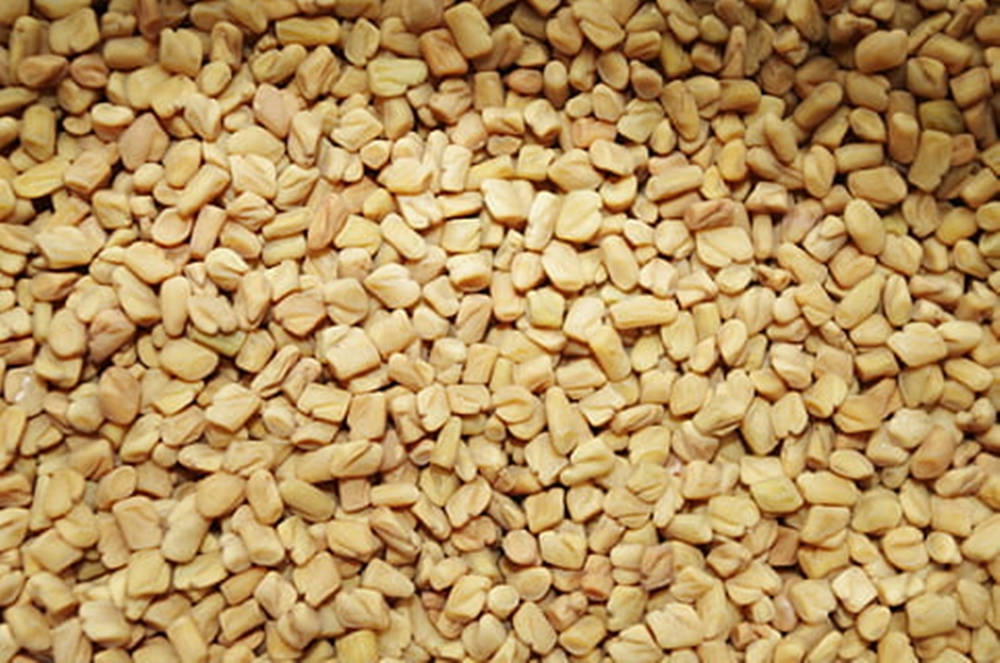 fenugreek, pale yellow, seeds, SD Desktop Wallpaper