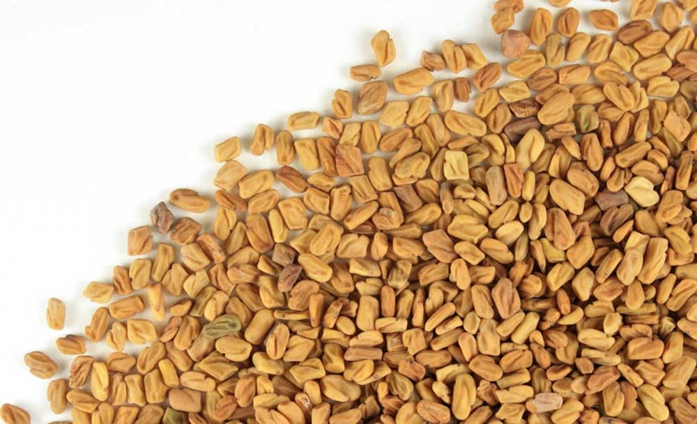 fenugreek seeds, golden-brown, stark white background, SD Desktop Wallpaper