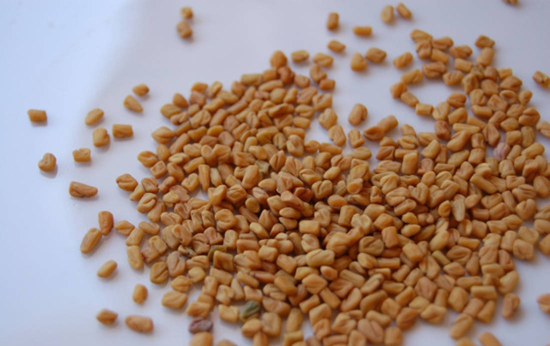 fenugreek seeds, white plate, plain white surface, SD Desktop Wallpaper