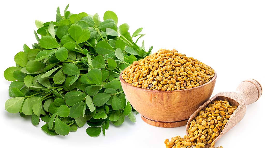 fenugreek seeds, fenugreek leaves, wooden bowl, SD Desktop Wallpaper