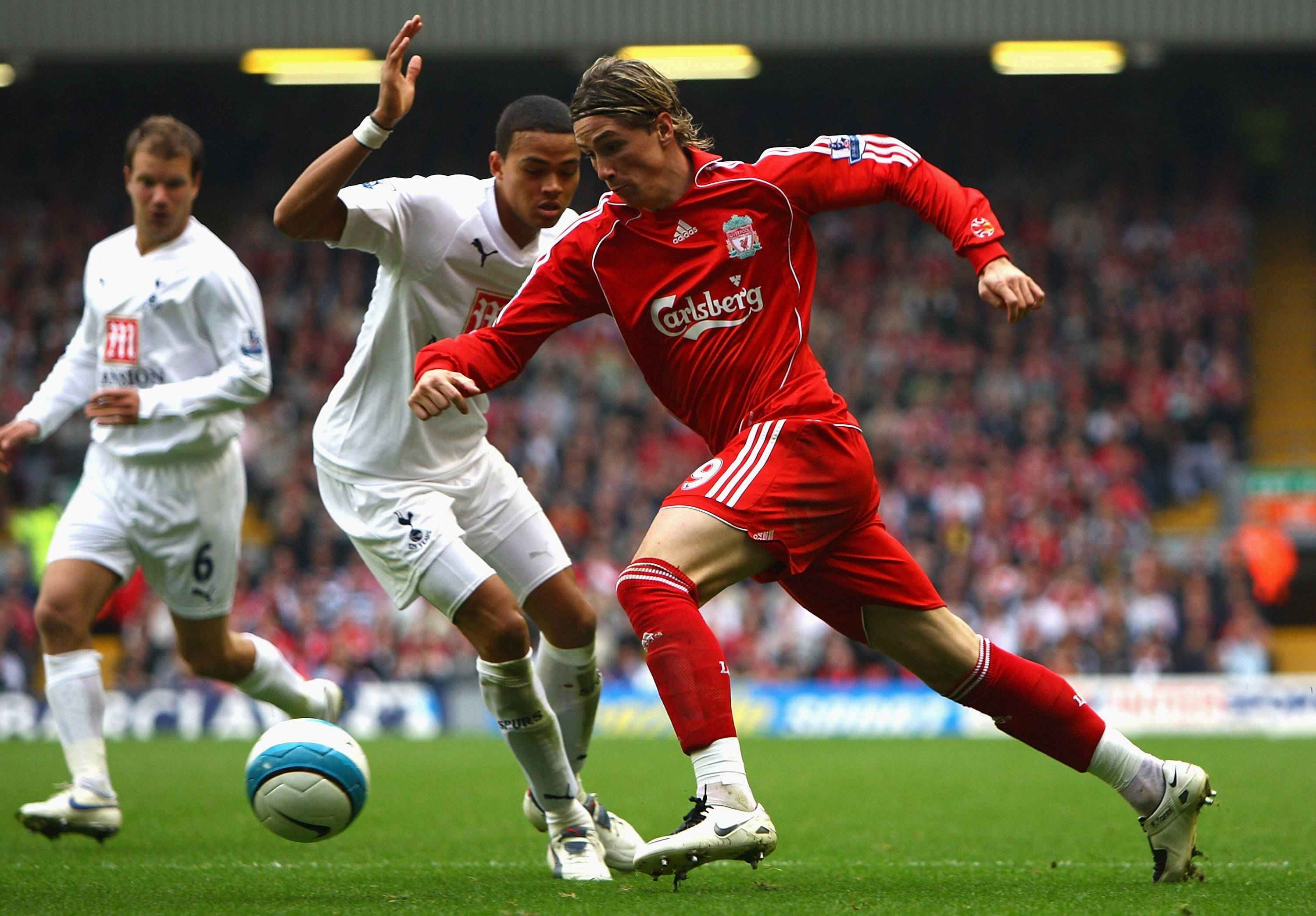 Fernando Torres, red jersey, white jersey, 2K Desktop Wallpaper