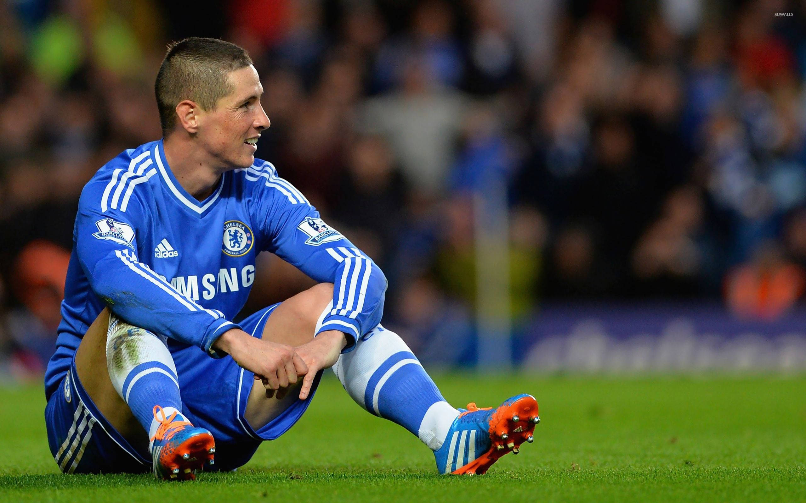 Fernando Torres, soccer field, blue kit, 2K Desktop Wallpaper