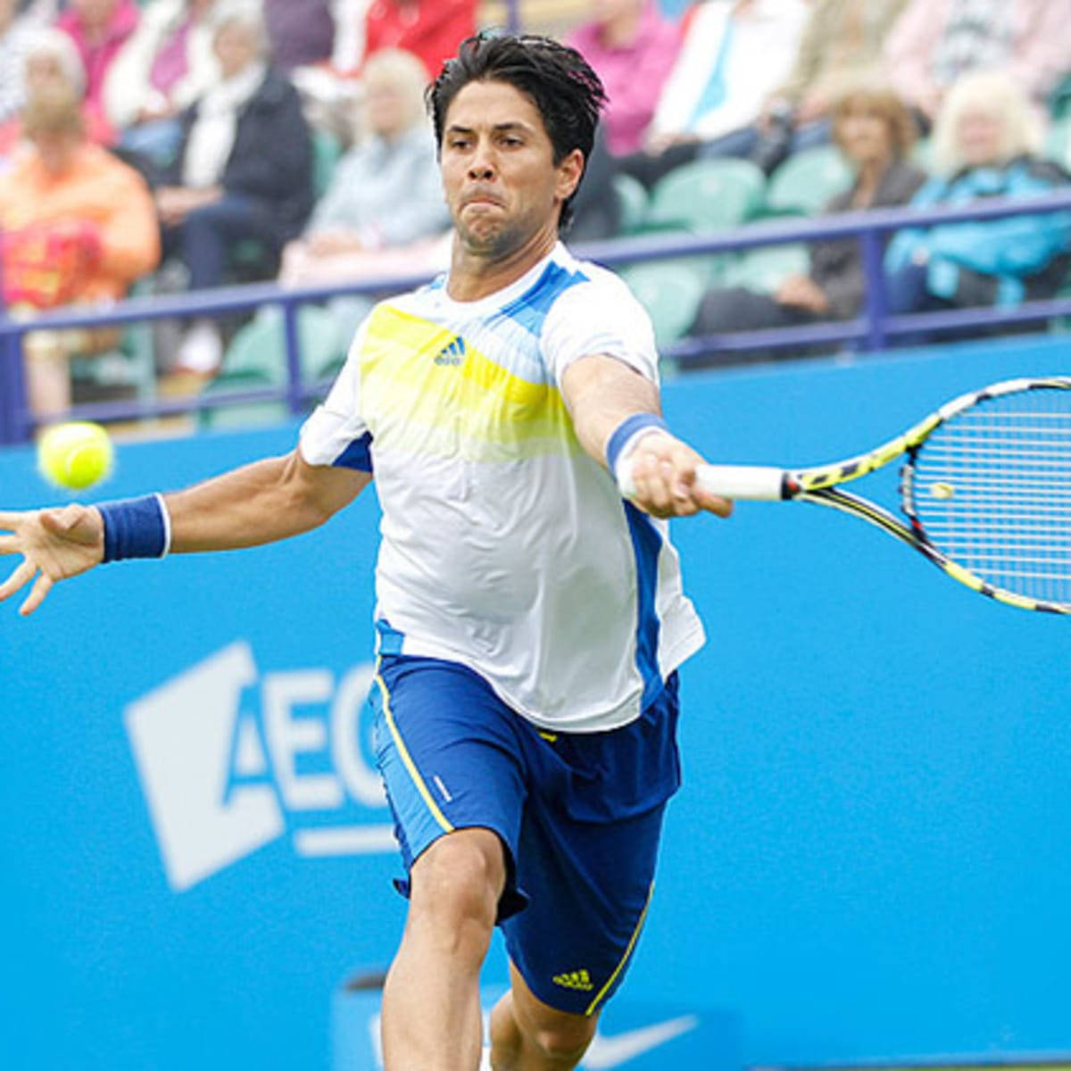 Fernando Verdasco, yellow ball, blue court, SD Desktop Wallpaper