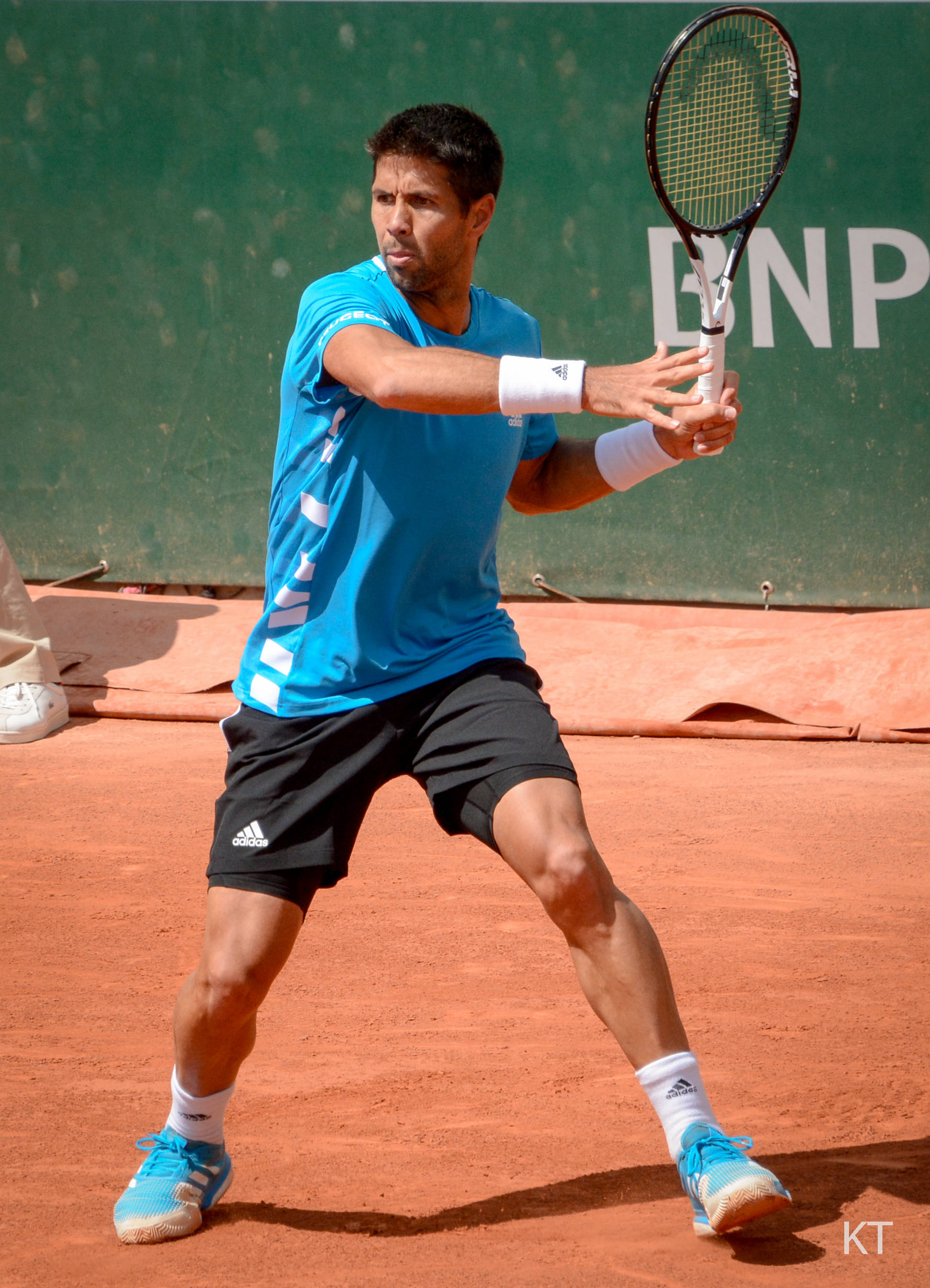 Fernando Verdasco, blue shirt, black shorts, Full HD Phone Wallpaper