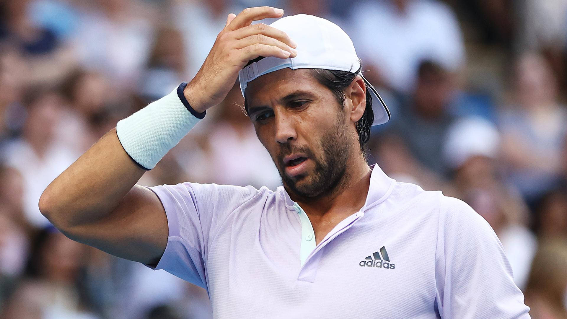 Fernando Verdasco, white adidas shirt, sunlit court, Full HD Desktop Wallpaper