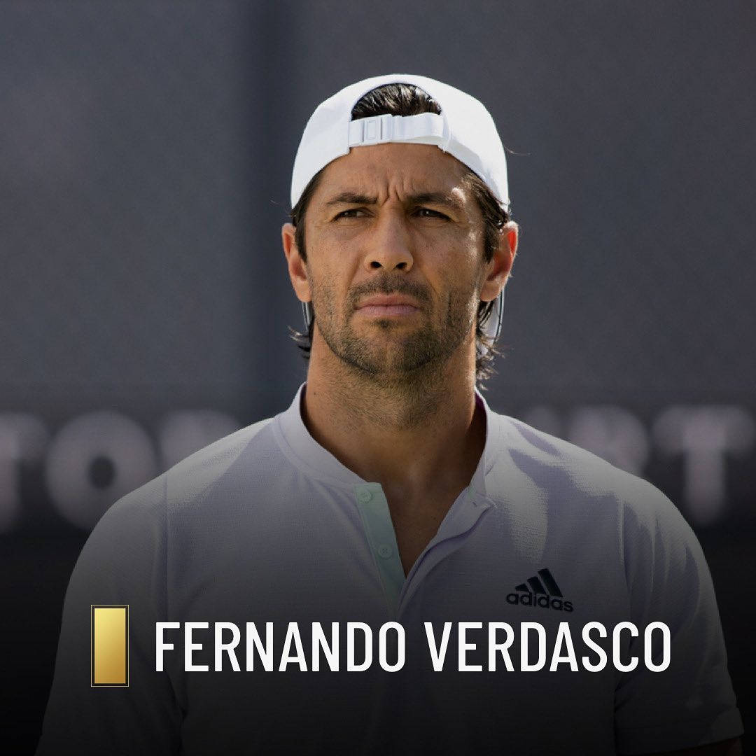 Fernando Verdasco, white cap, grey polo shirt, SD Desktop Wallpaper
