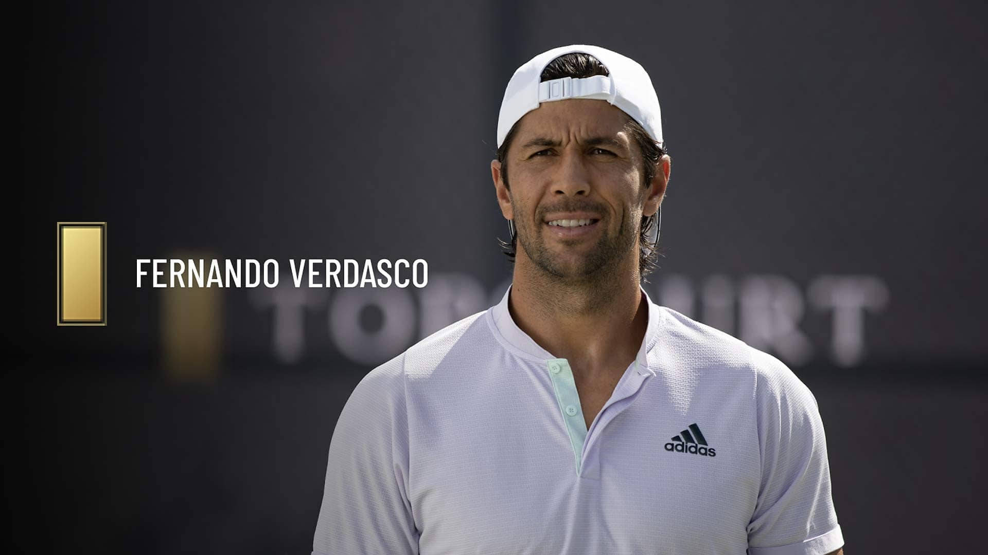 Fernando Verdasco, white cap, polo shirt, Full HD Desktop Wallpaper