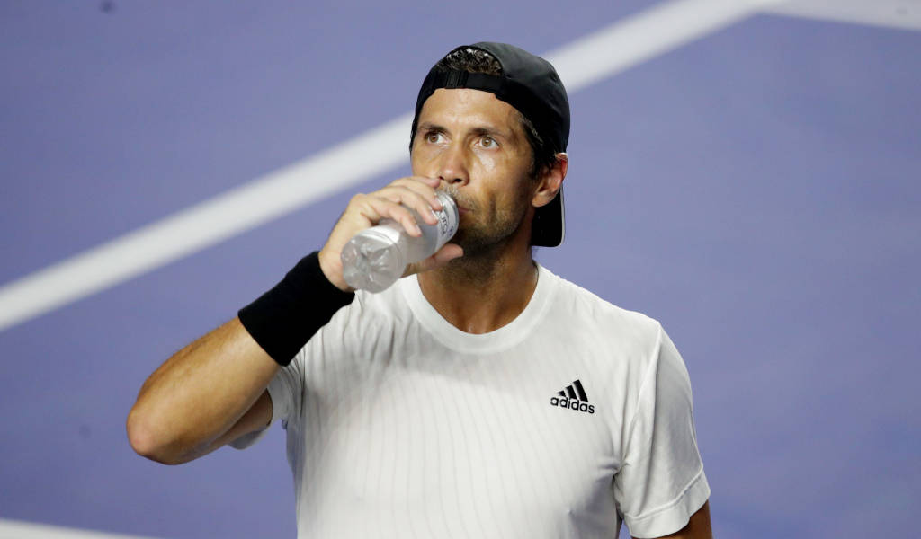 Fernando Verdasco, clear bottle, vibrant purple court, SD Desktop Wallpaper