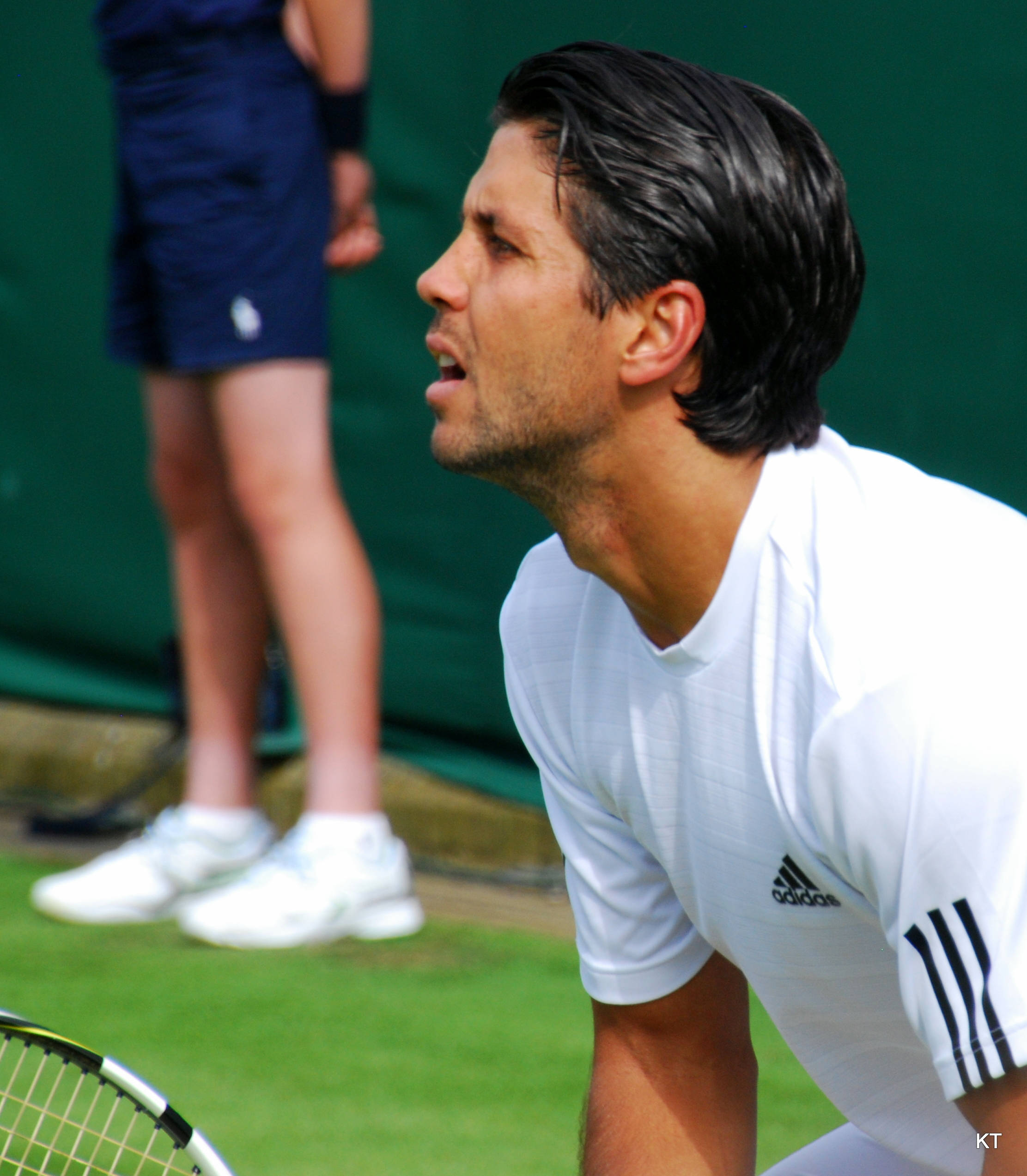 Fernando Verdasco, white Adidas gear, grass court, Full HD Phone Wallpaper