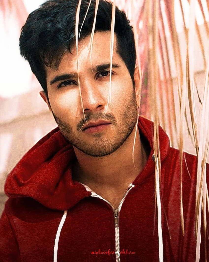 Feroz Khan, red hoodie, palm fronds, SD Phone Wallpaper