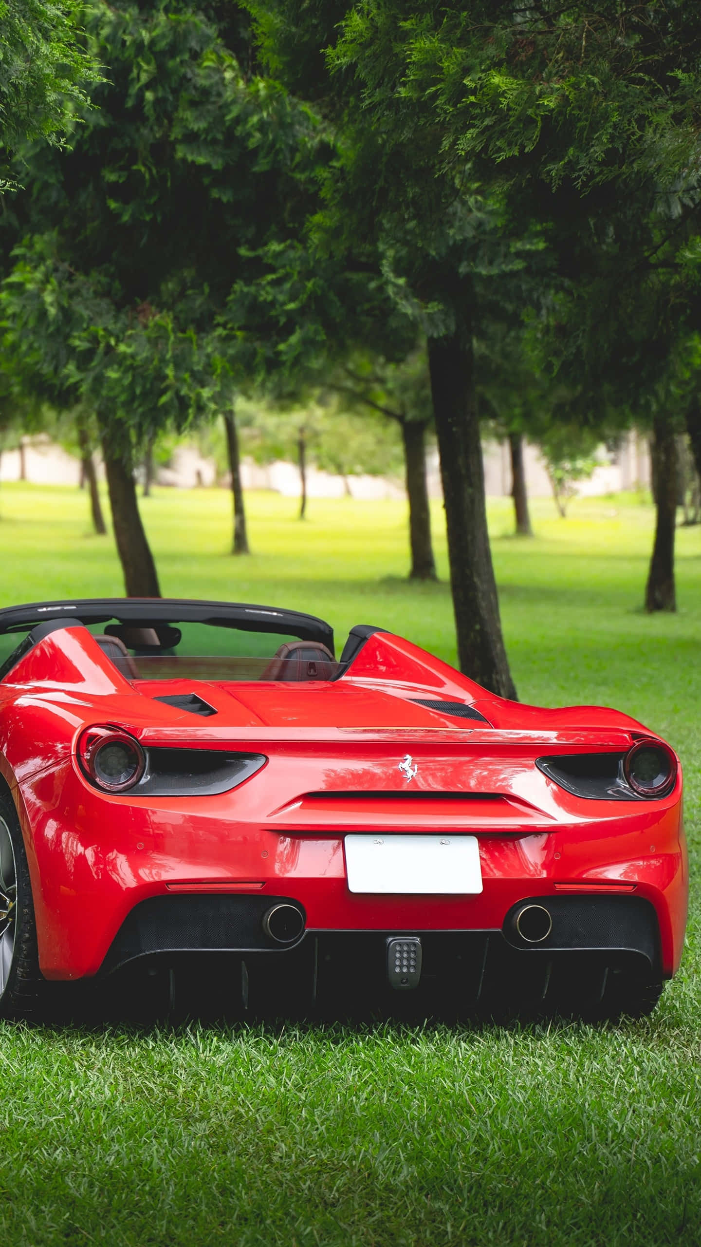 Ferrari 488 Spider, glossy red, lush green grass, 2K Phone Wallpaper
