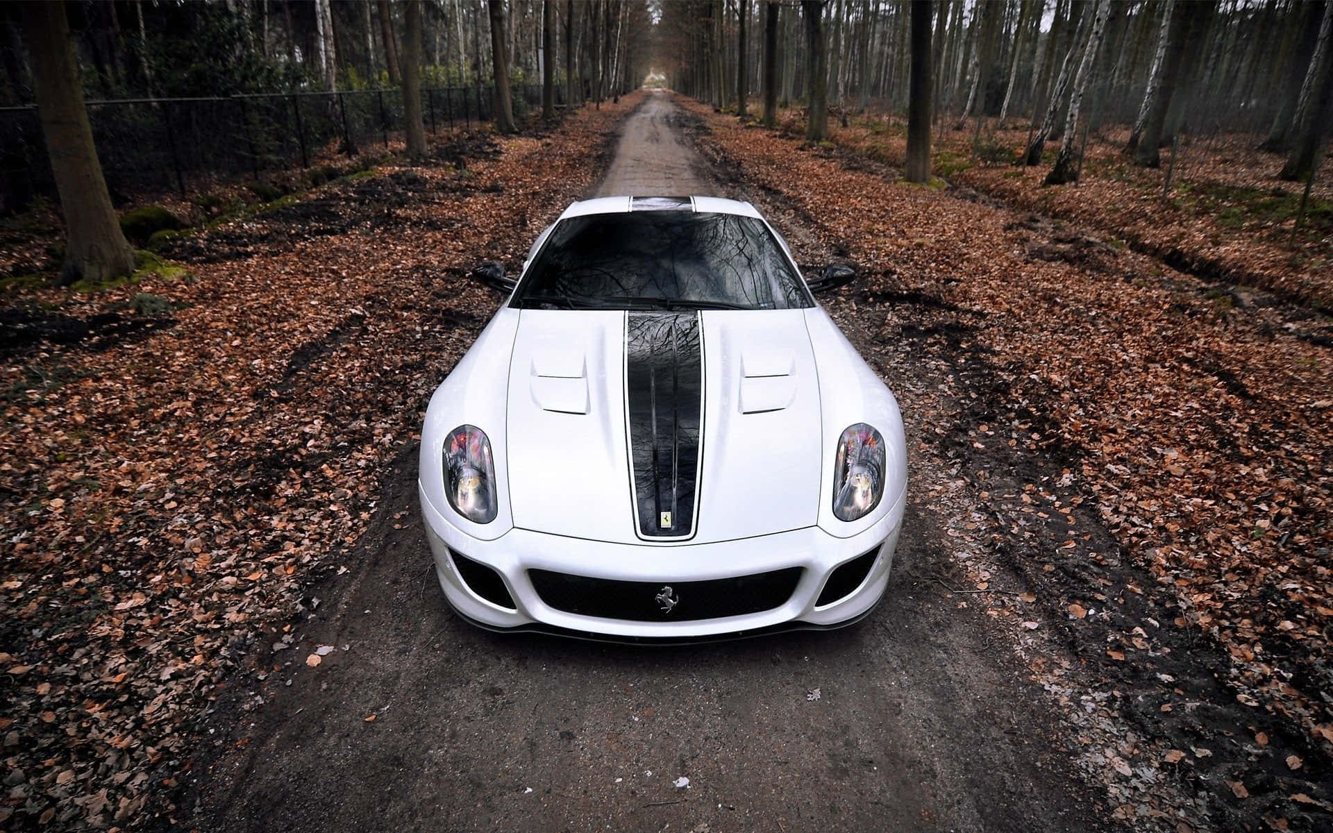 Ferrari 599 GTB Fiorano, white, black stripes, Full HD Desktop Wallpaper