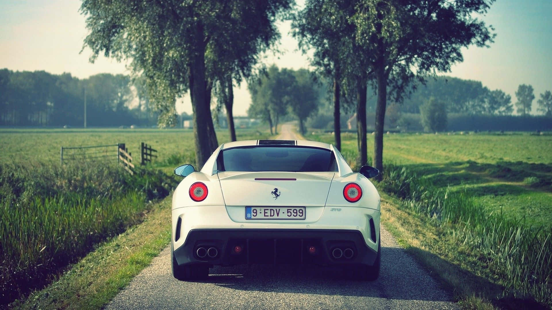 Ferrari 599 GTB Fiorano, white, tree-lined rural road, Full HD Desktop Wallpaper