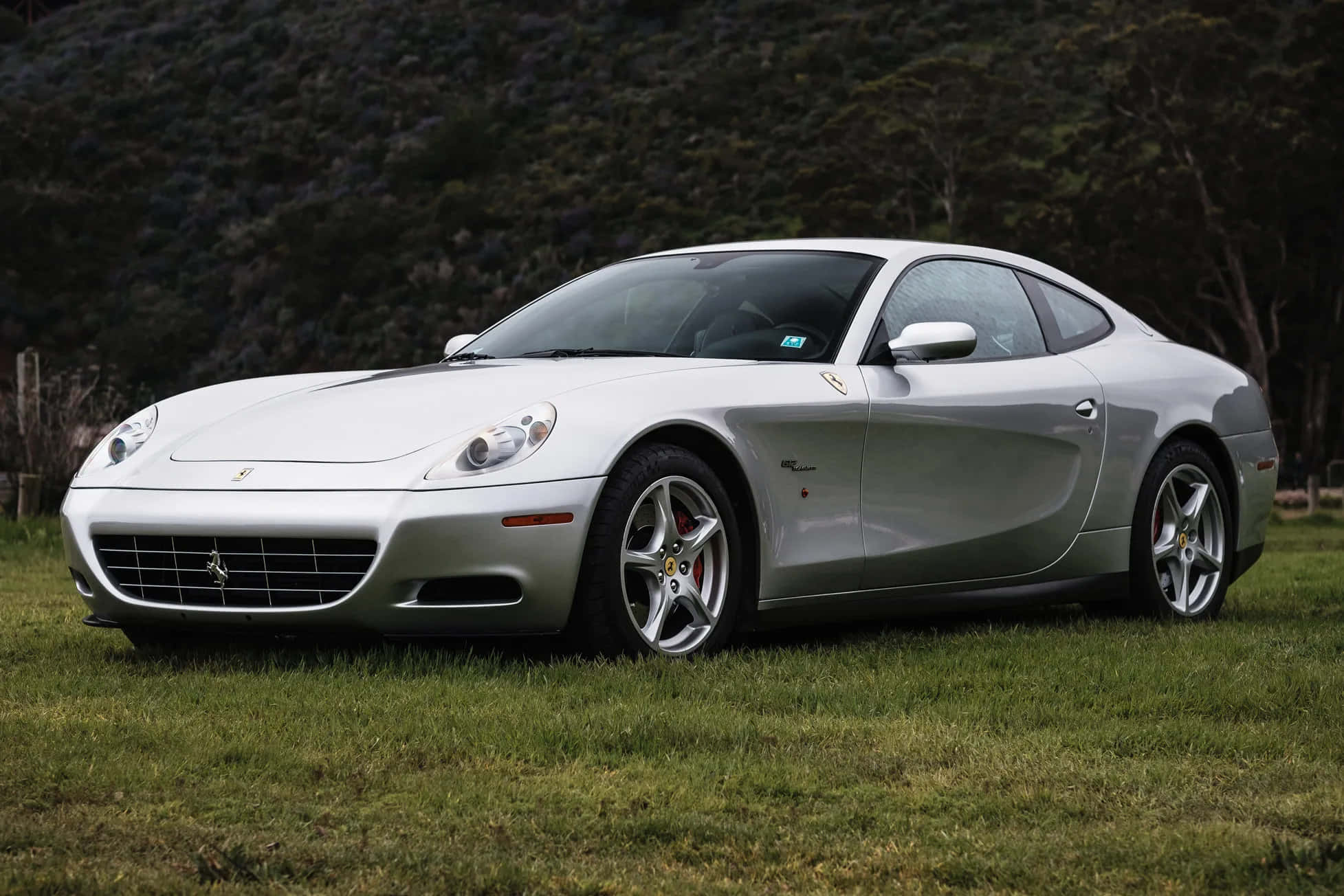 Ferrari 612 Scaglietti, silver, grassy field, Full HD Desktop Wallpaper
