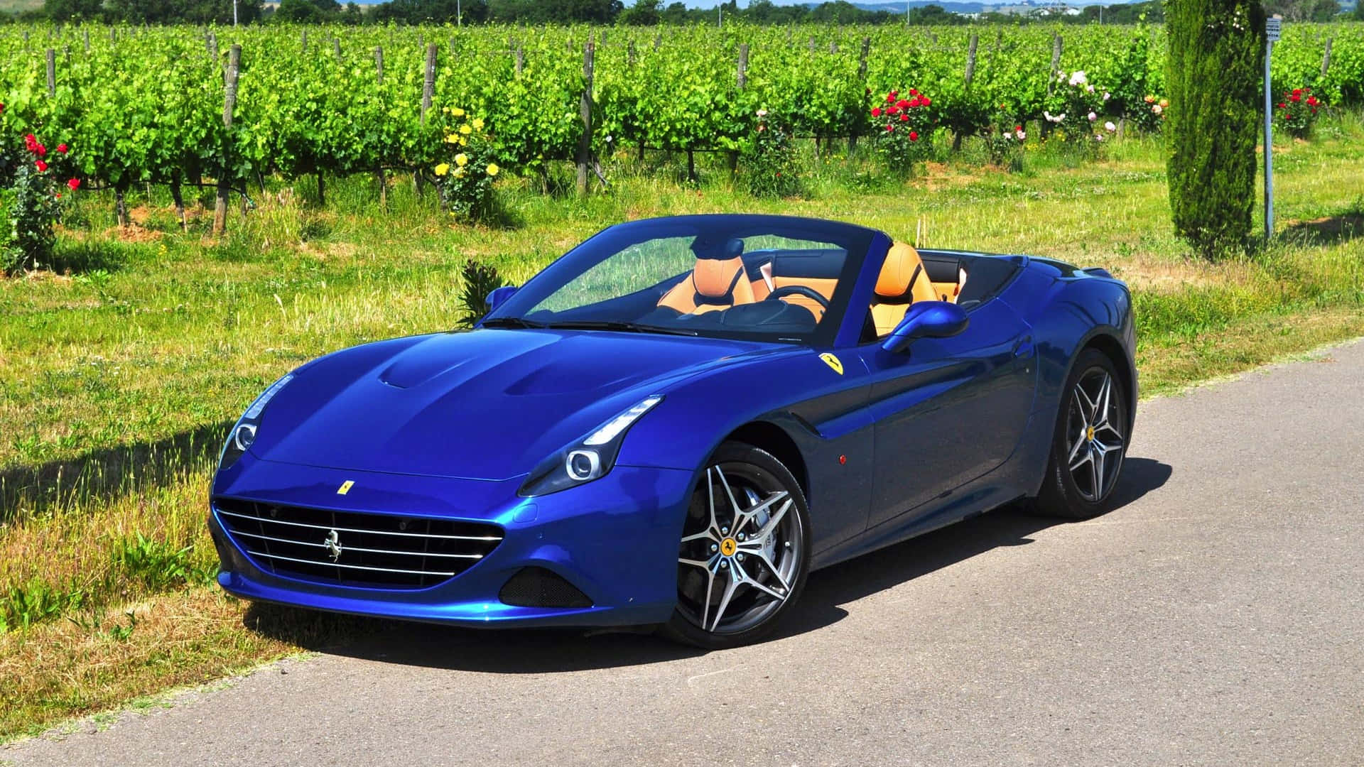 Ferrari California T, glossy blue, sunlit country road, Full HD Desktop Wallpaper