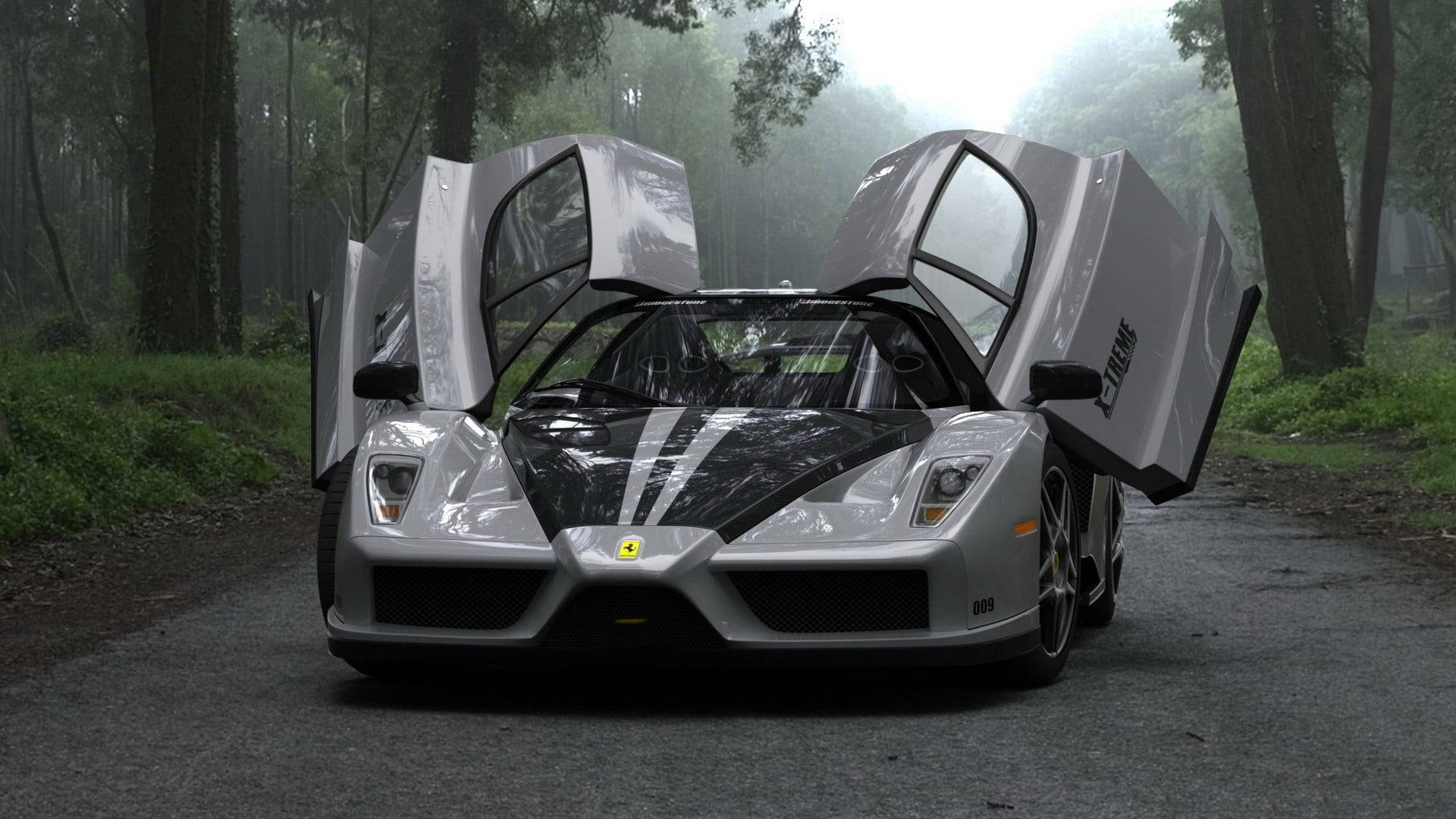 Ferrari Enzo, silver, gullwing doors, Full HD Desktop Wallpaper