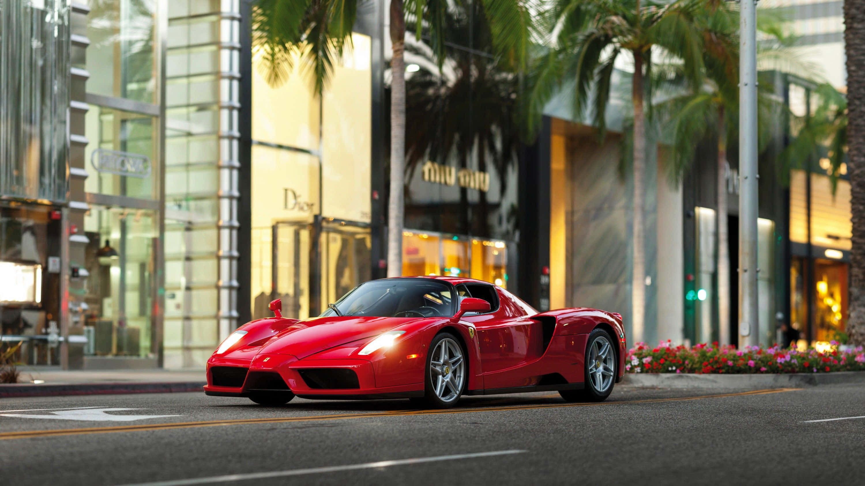 Ferrari Enzo, vibrant red, palm-lined city street, 2K Desktop Wallpaper