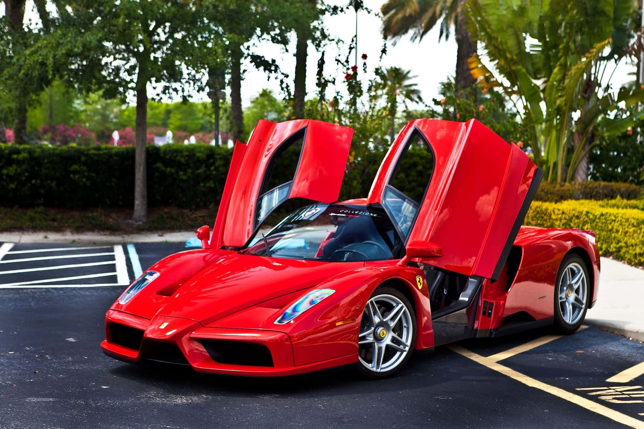 Ferrari Enzo, sleek, vibrant red, Full HD Desktop Wallpaper