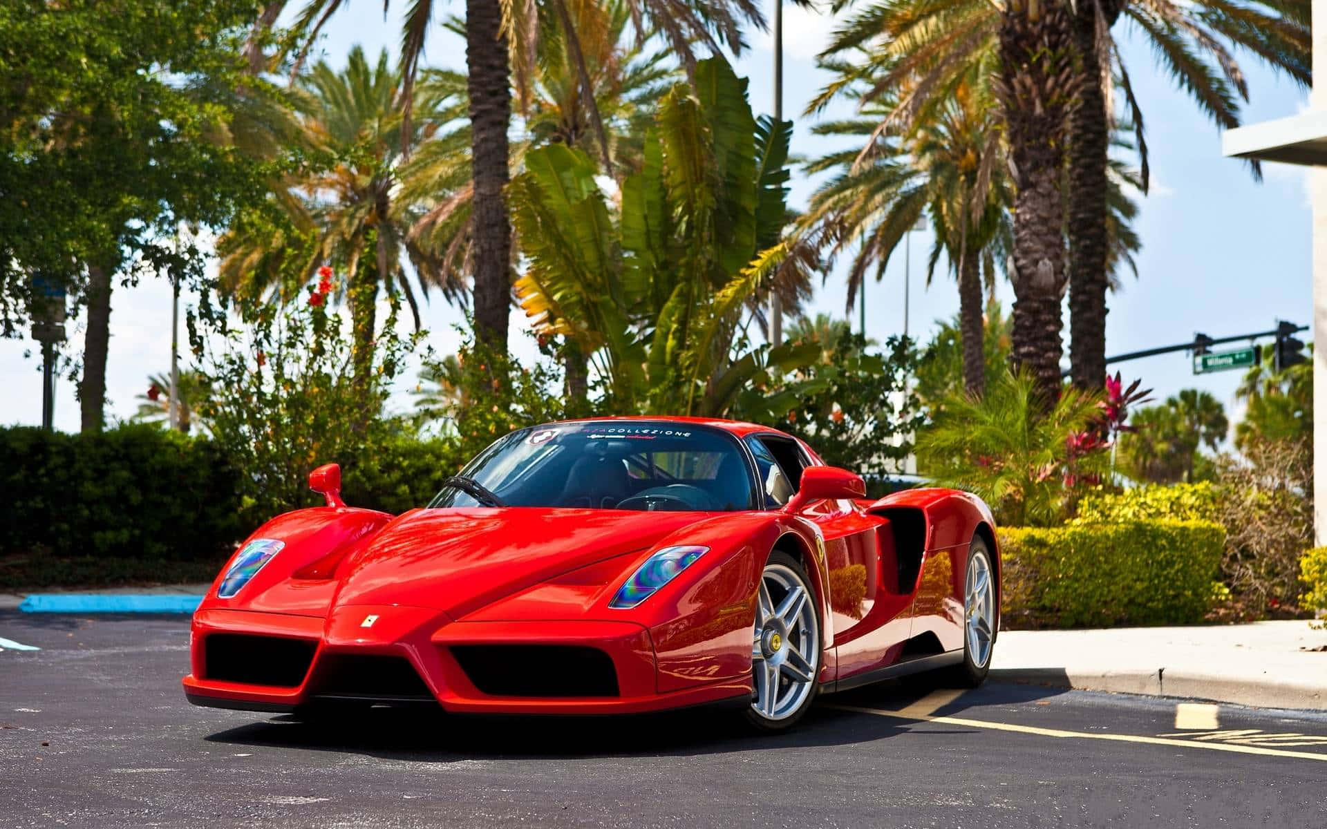 Ferrari Enzo, red, asphalt, Full HD Desktop Wallpaper