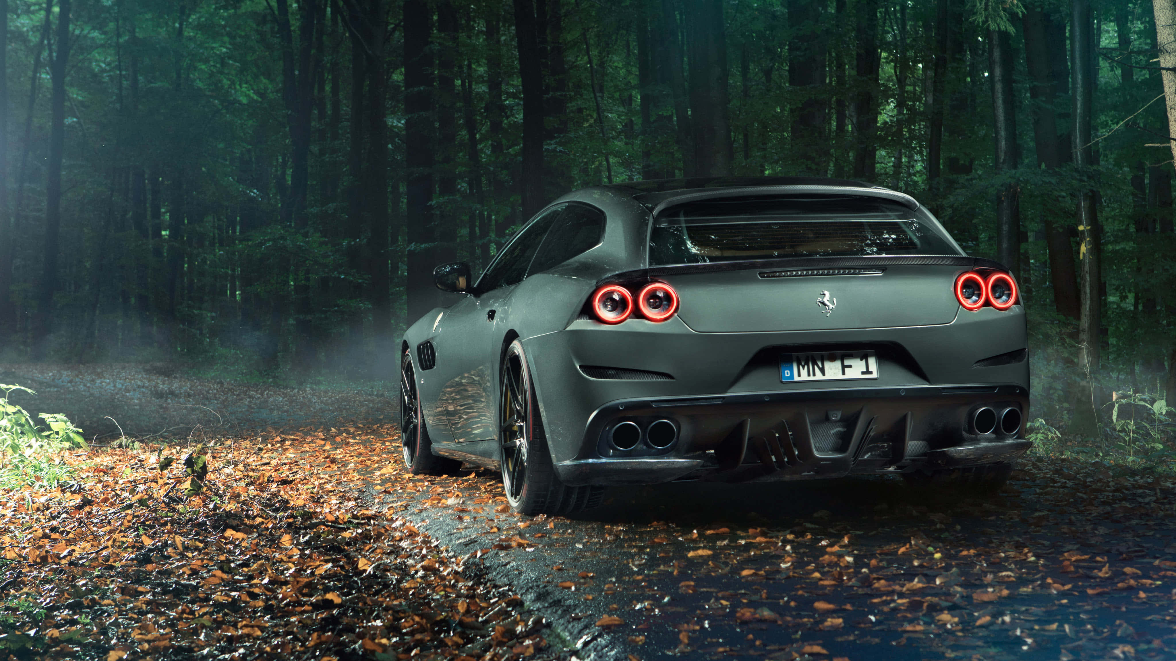 Ferrari GTC4Lusso, matte gray, misty forest, 4K Desktop Wallpaper