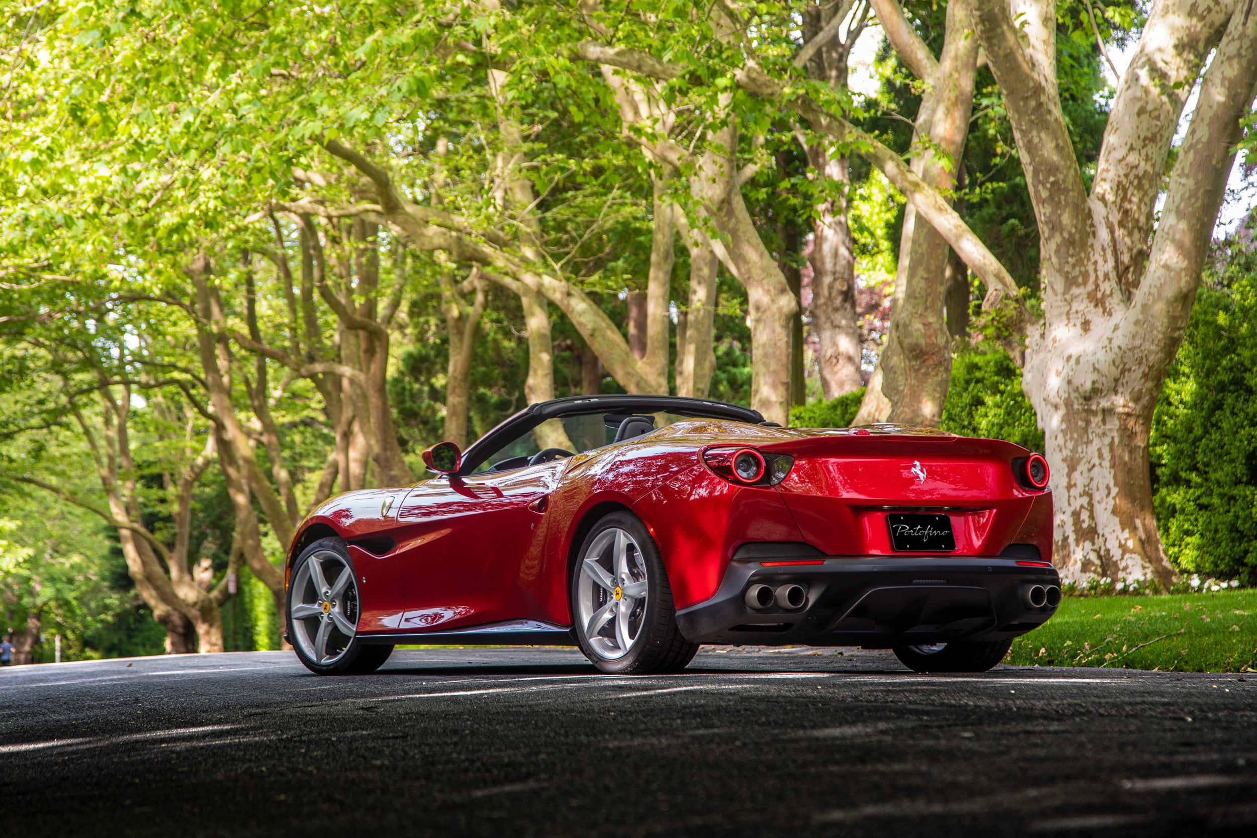 Ferrari Portofino, glossy red, tree-lined road, Full HD Desktop Wallpaper
