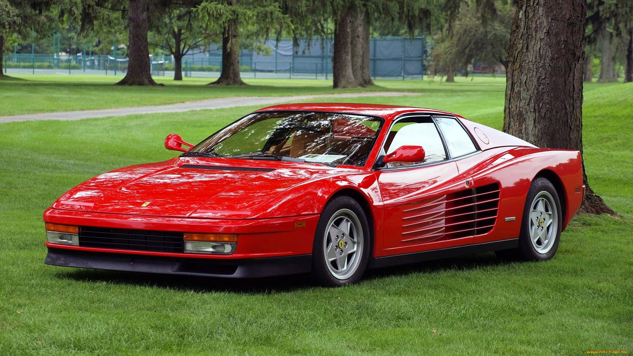 Ferrari Testarossa, glossy red, lush green grass, Full HD Desktop Wallpaper