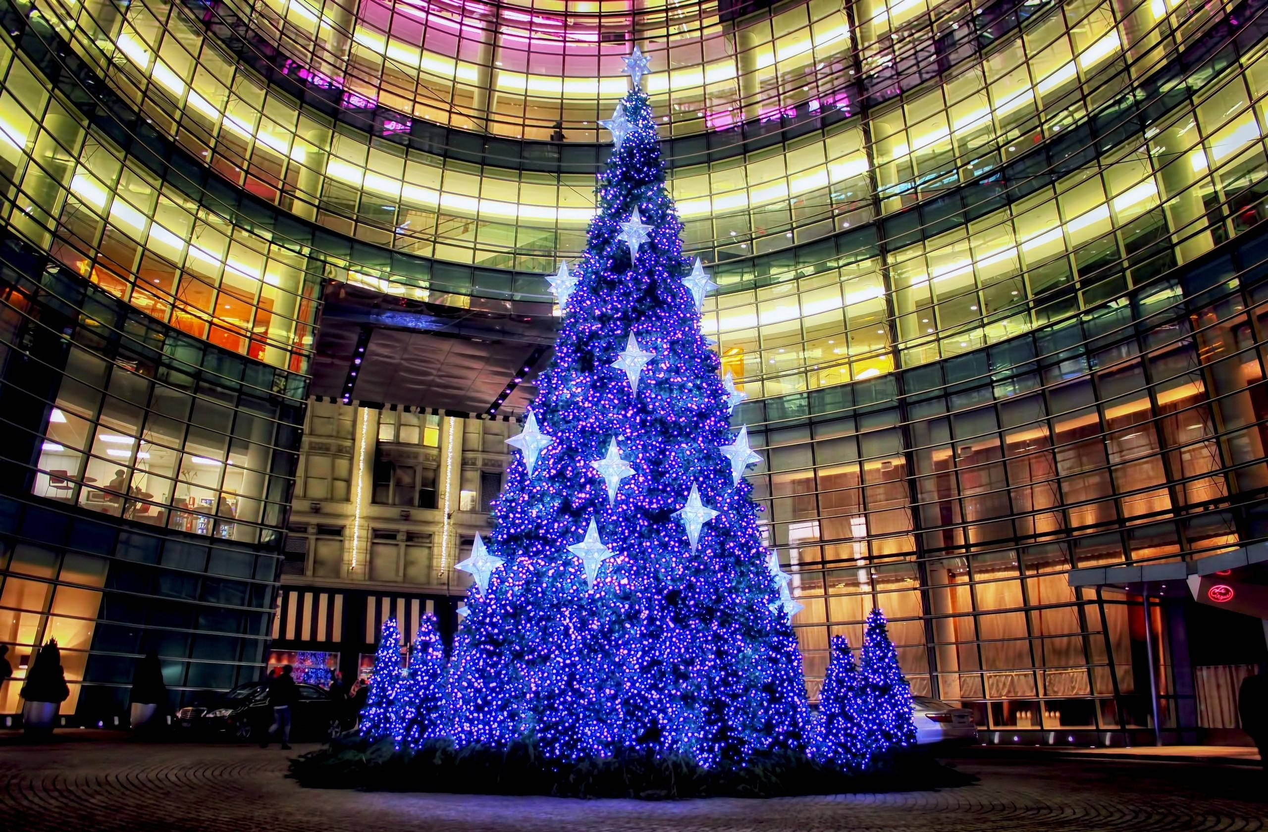 blue Christmas tree, glowing stars, modern glass-walled atrium, 2K Desktop Wallpaper