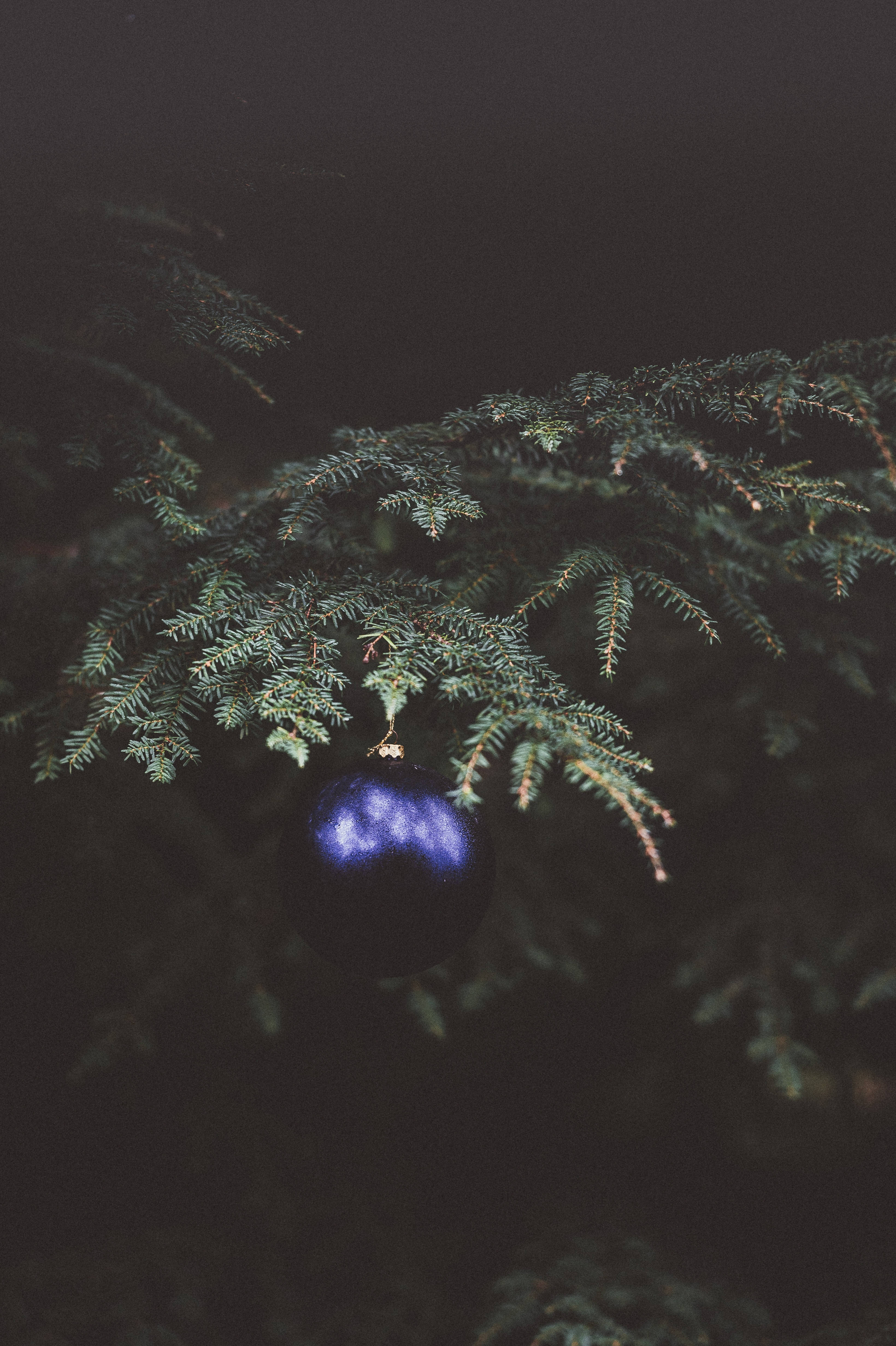 blue ball, Christmas Tree, dark blue reflective ornament, 4K Phone Wallpaper