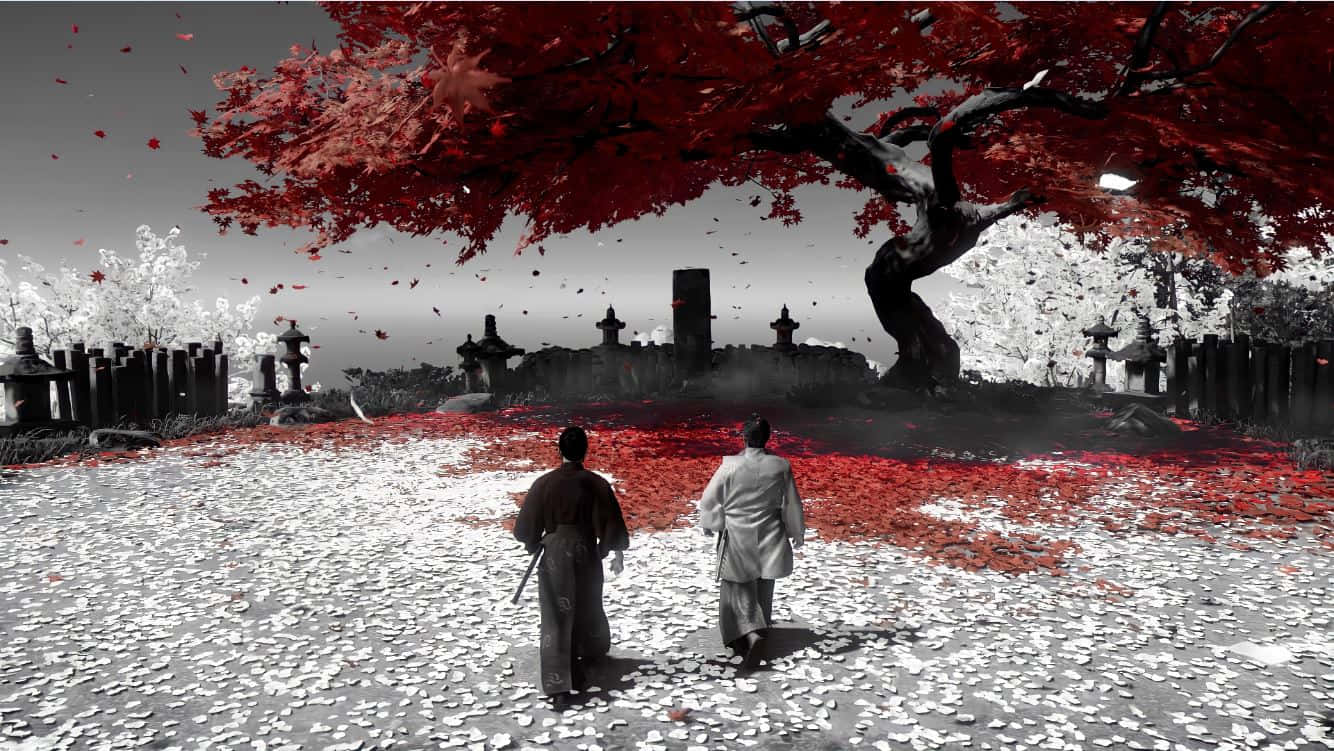 Feudal Japan, vibrant red maple tree, monochrome cemetery, HD Desktop Wallpaper