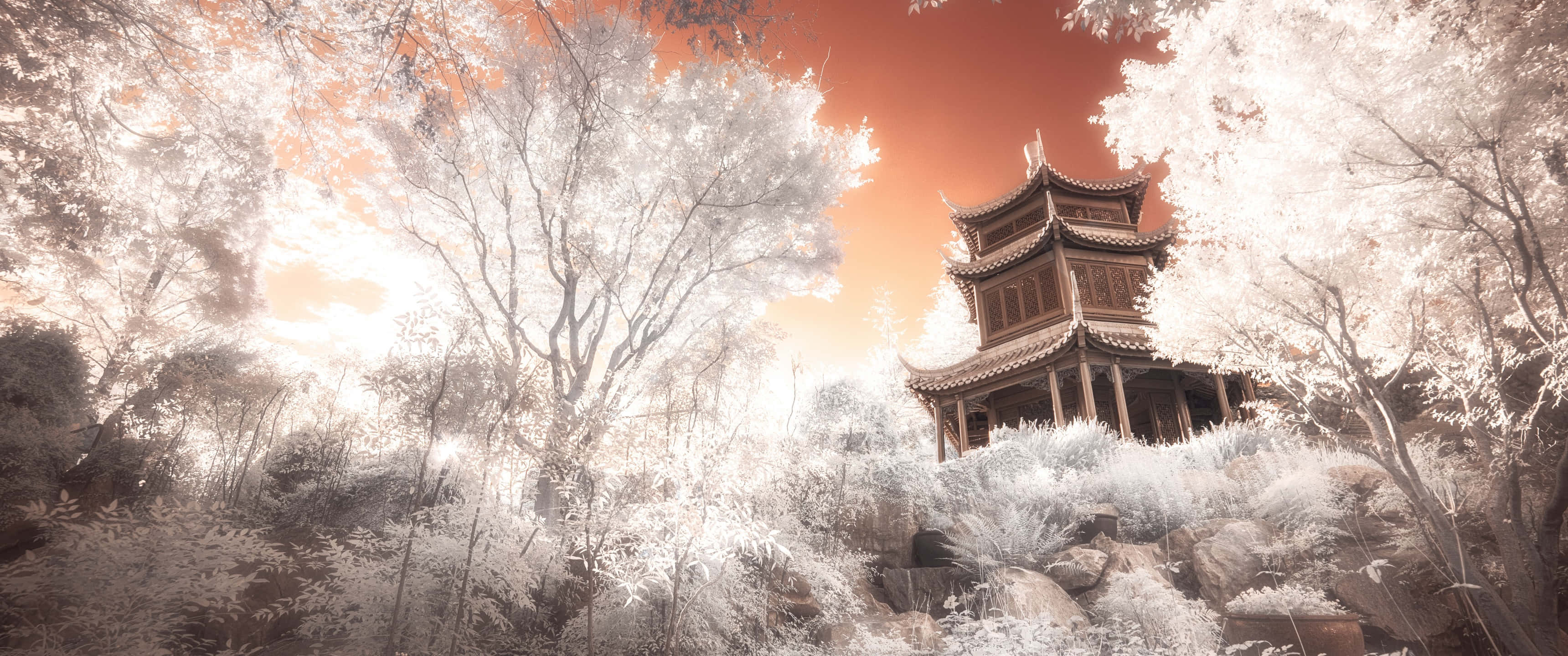Feudal Japan, traditional wooden pagoda, glowing white trees, 2K Desktop Wallpaper