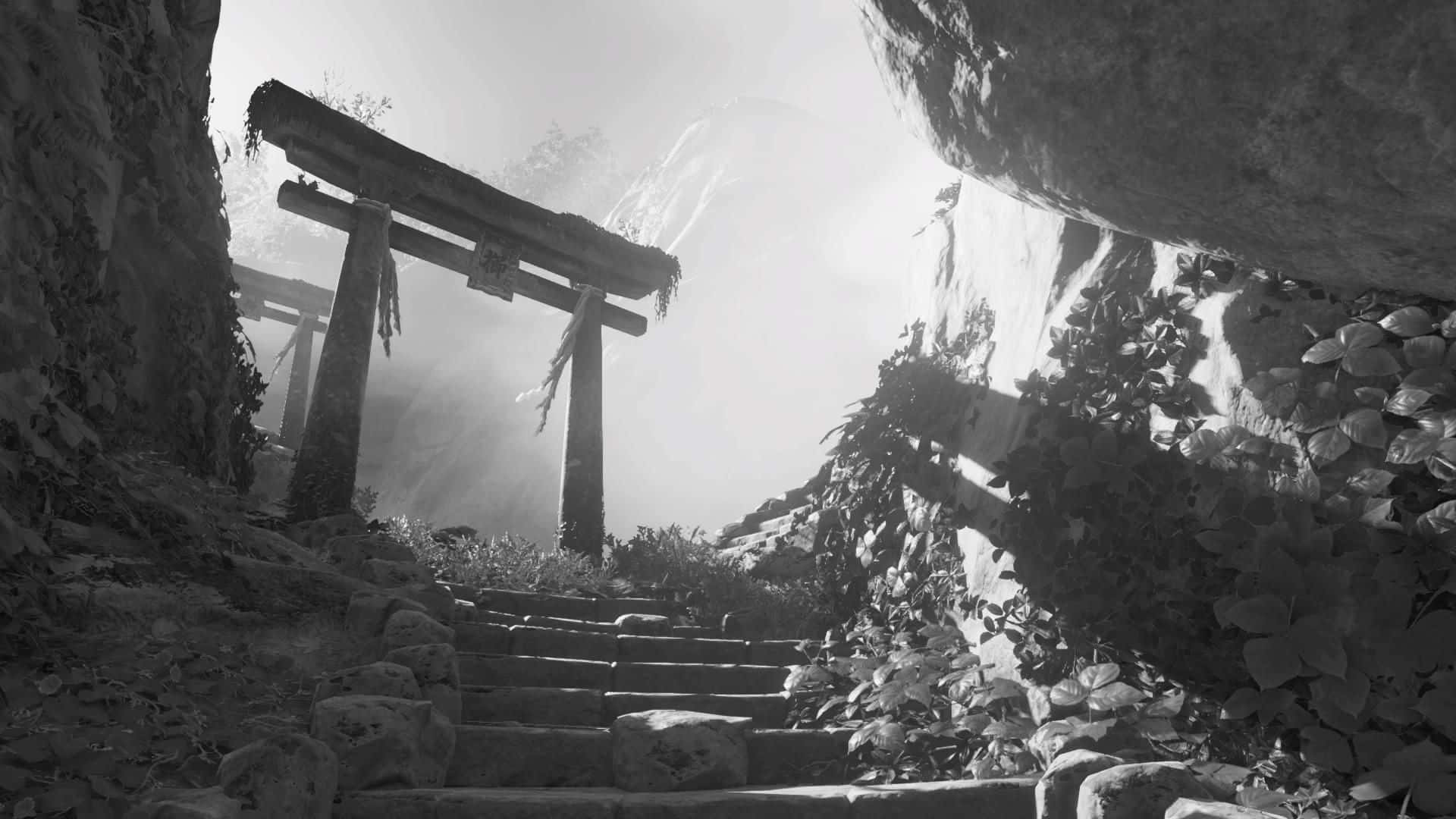 japan, misty stone path, weathered torii gate, Full HD Desktop Wallpaper