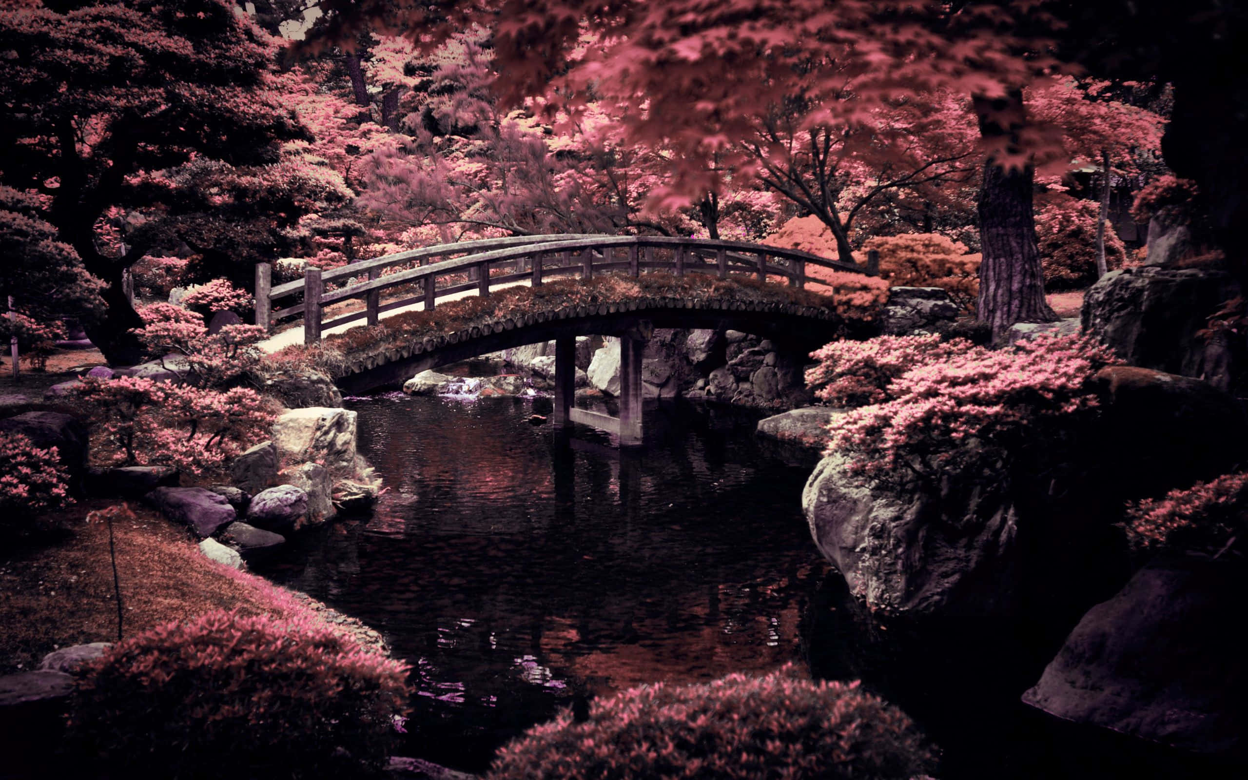 Japanese garden, wooden bridge, still pond, 2K Desktop Wallpaper