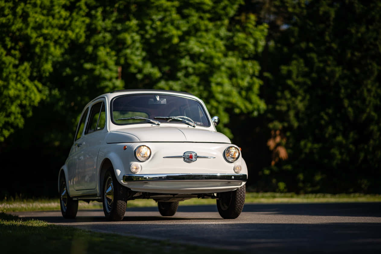 Fiat 500, white, vintage, SD Desktop Wallpaper