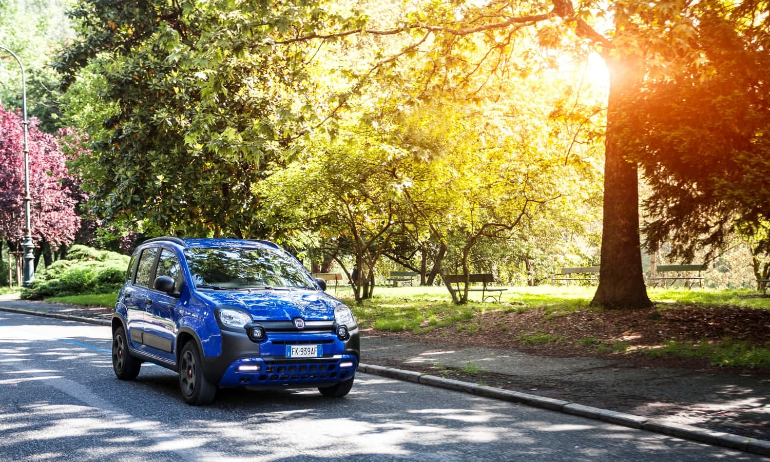 Fiat Panda, vibrant blue, tree-lined park road, HD Desktop Wallpaper