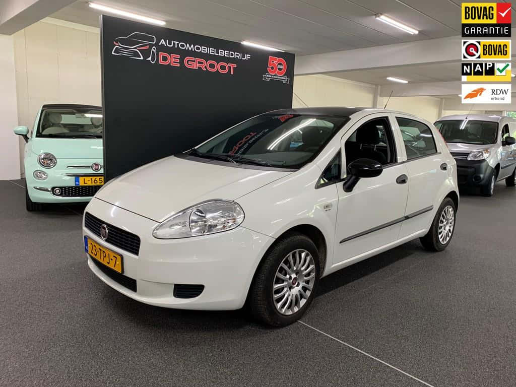 Fiat Punto, pristine white, car dealership showroom, SD Desktop Wallpaper