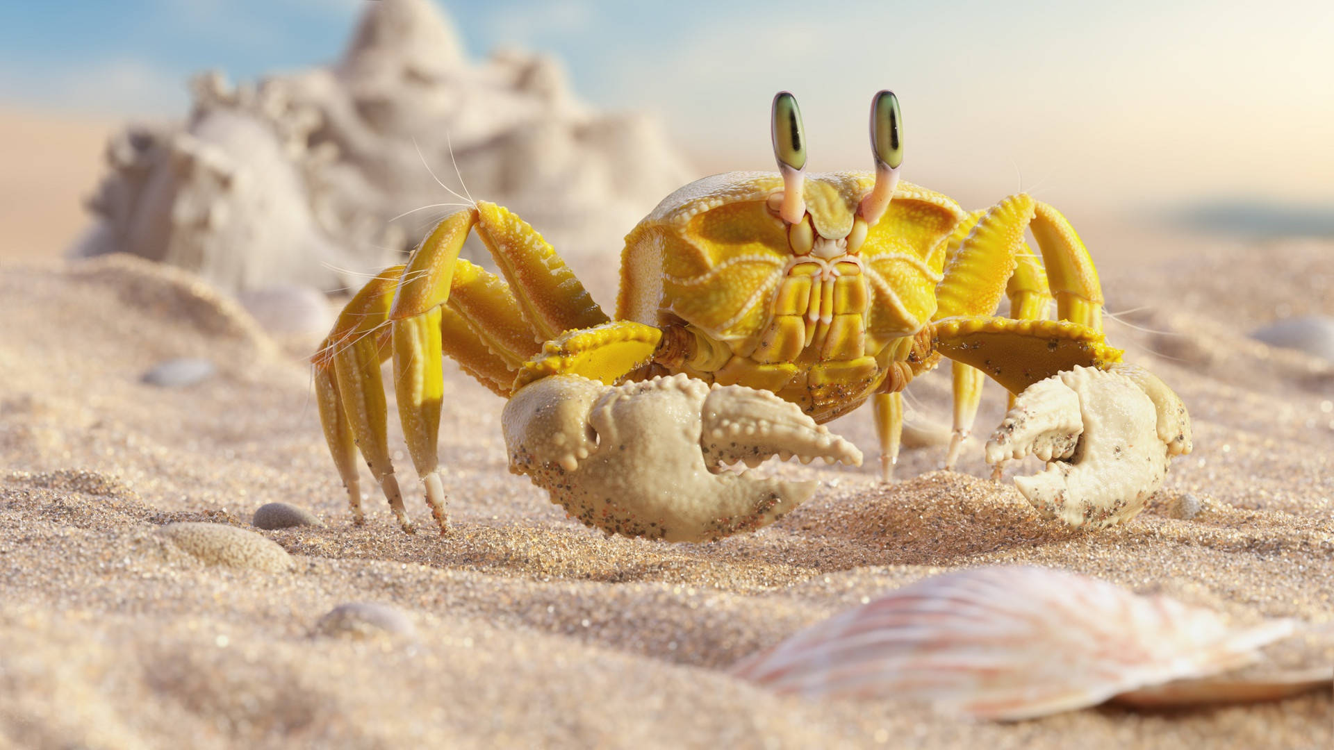 yellow crab, white claws, sandy beach, Full HD Desktop Wallpaper