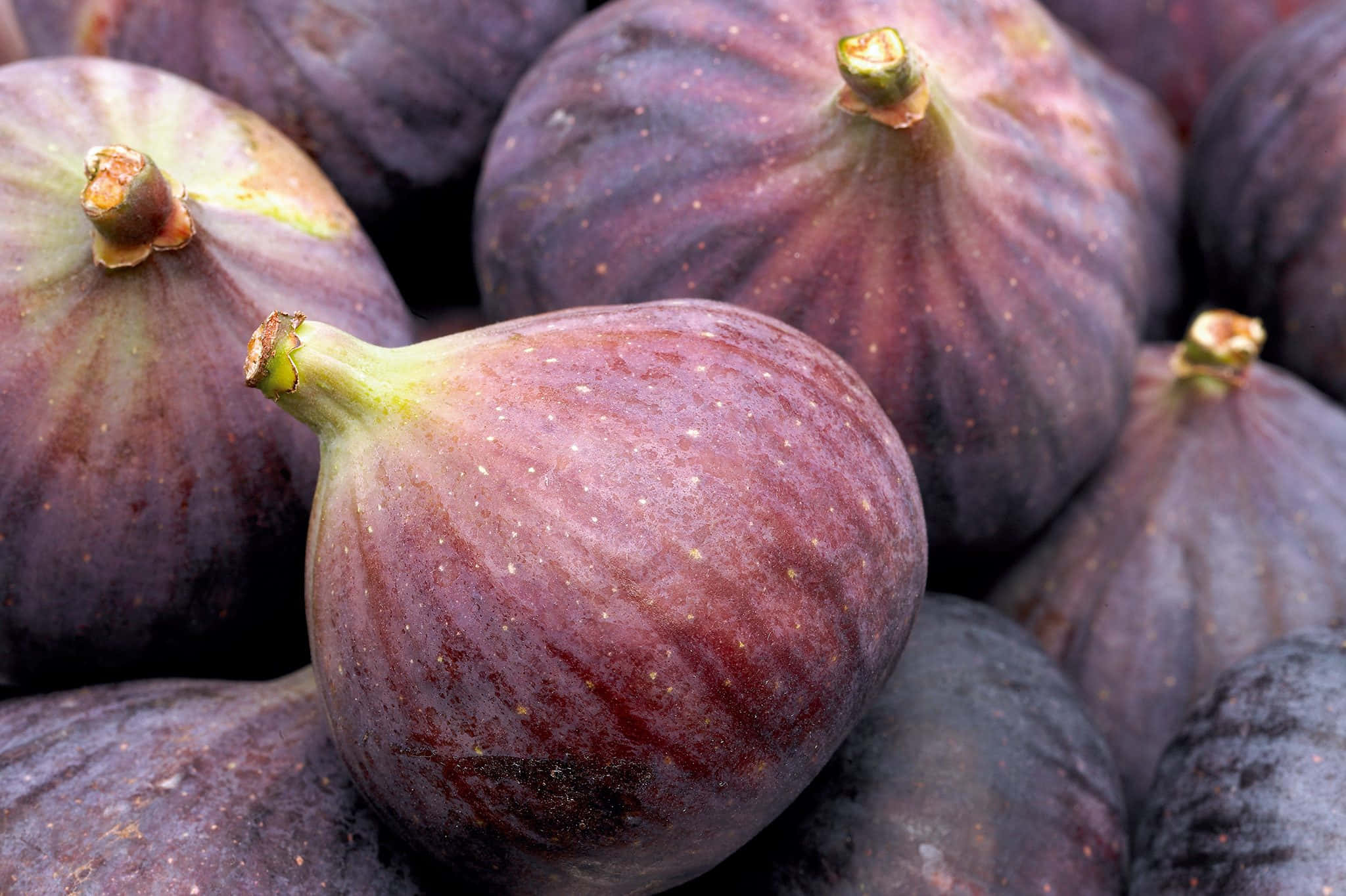 fresh figs, plump purple figs, textured skin, Full HD Desktop Wallpaper