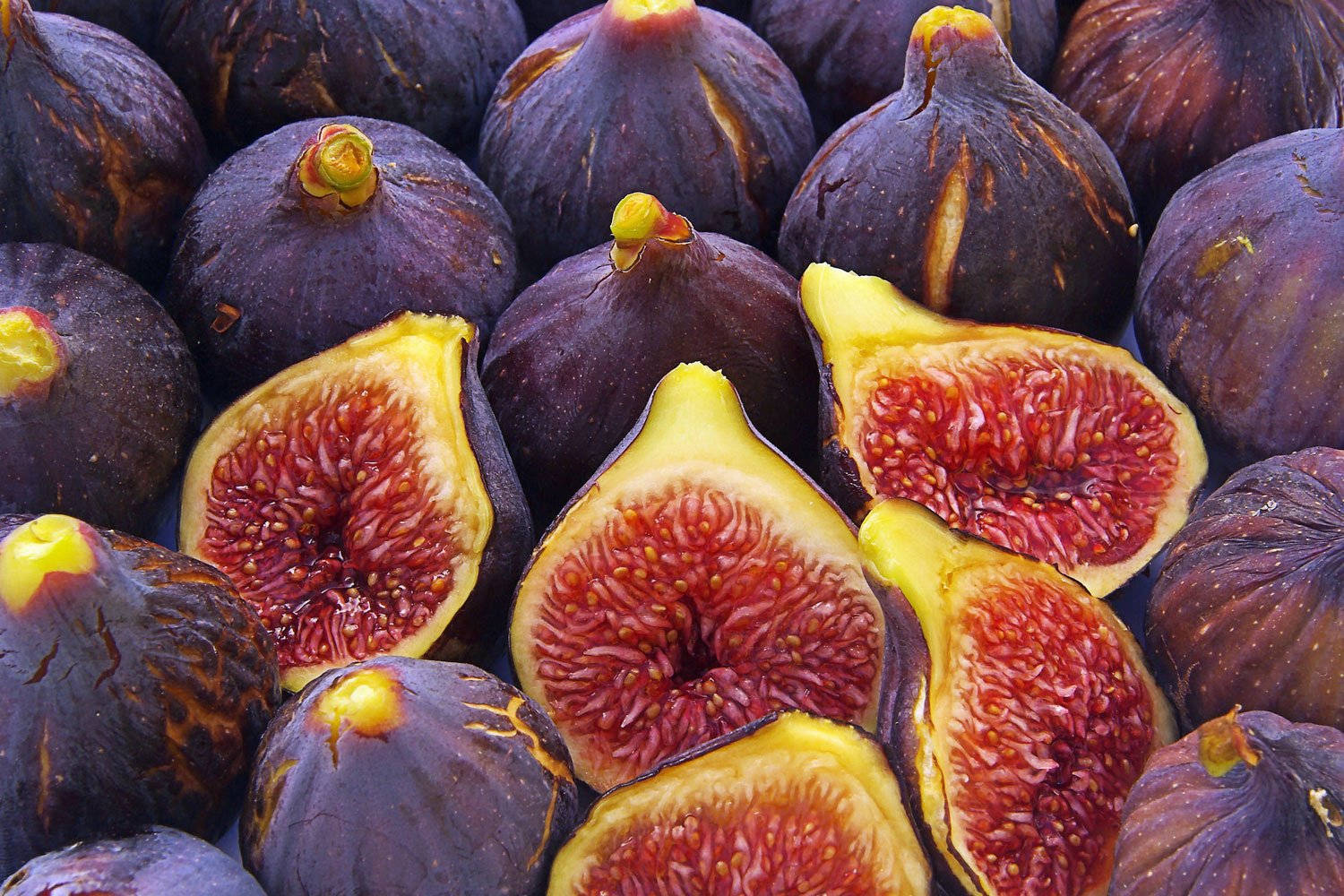 red flesh figs, purple figs, juicy red interiors, HD Desktop Wallpaper